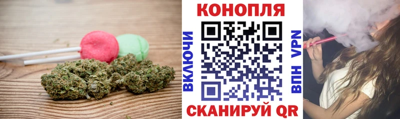 Cannafood конопля  Купить  Шуя 
