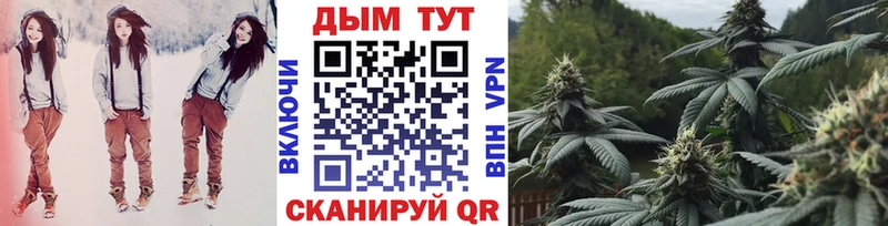 Купить  Шуя  Каннабис MAZAR 